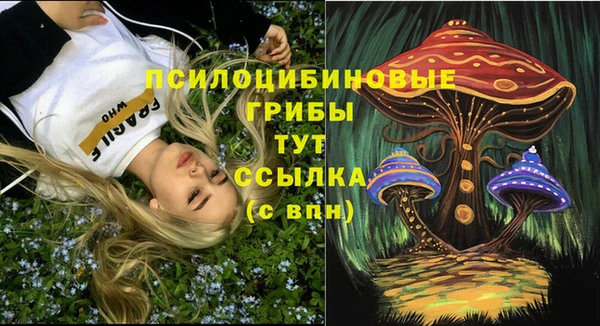 a pvp Алексин